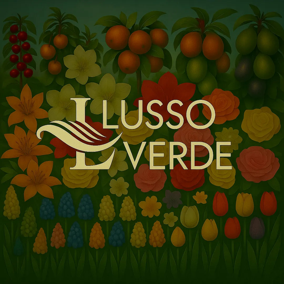 florin de vanzare pomi fructiferi de vanzare lussoverde