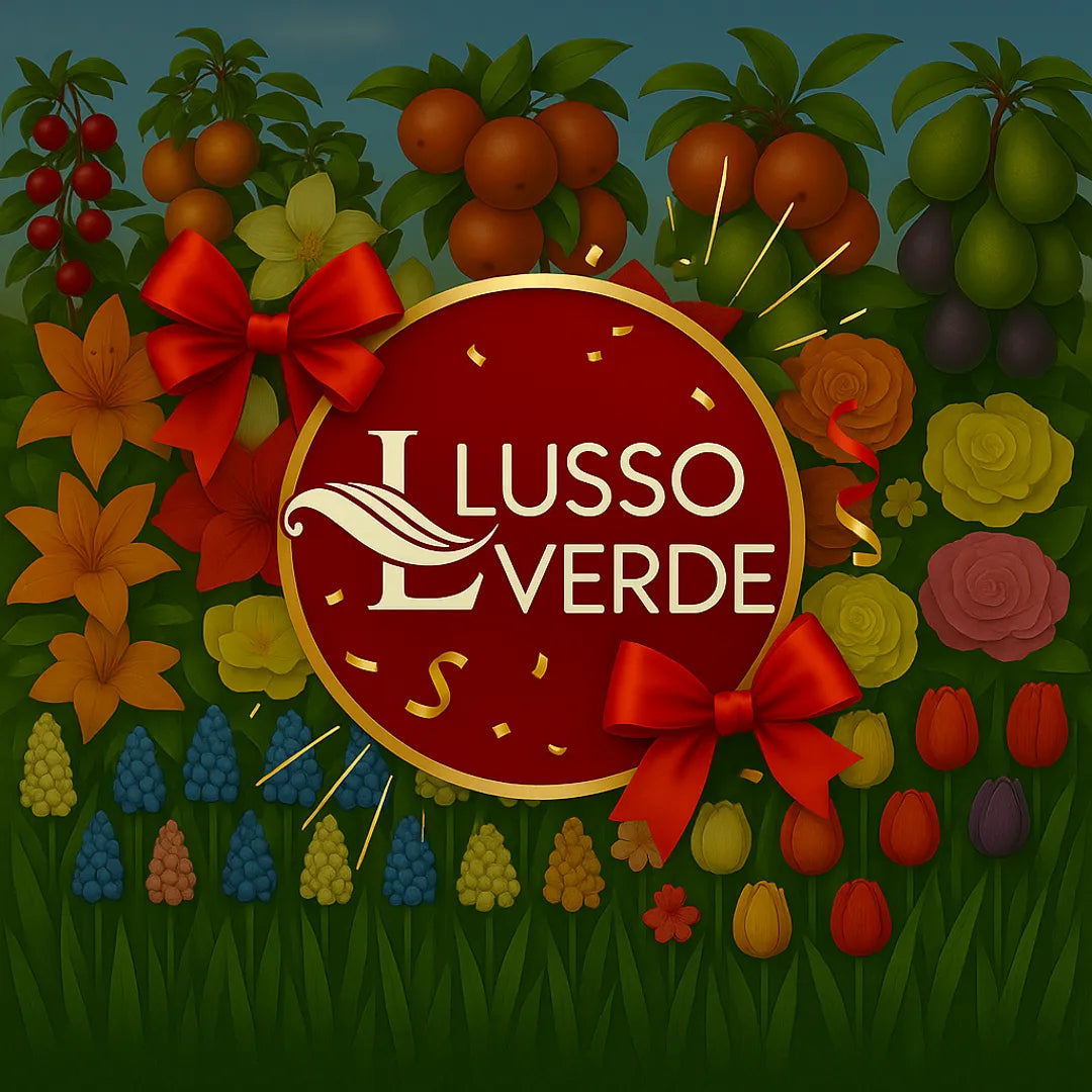 promotii lussoverde