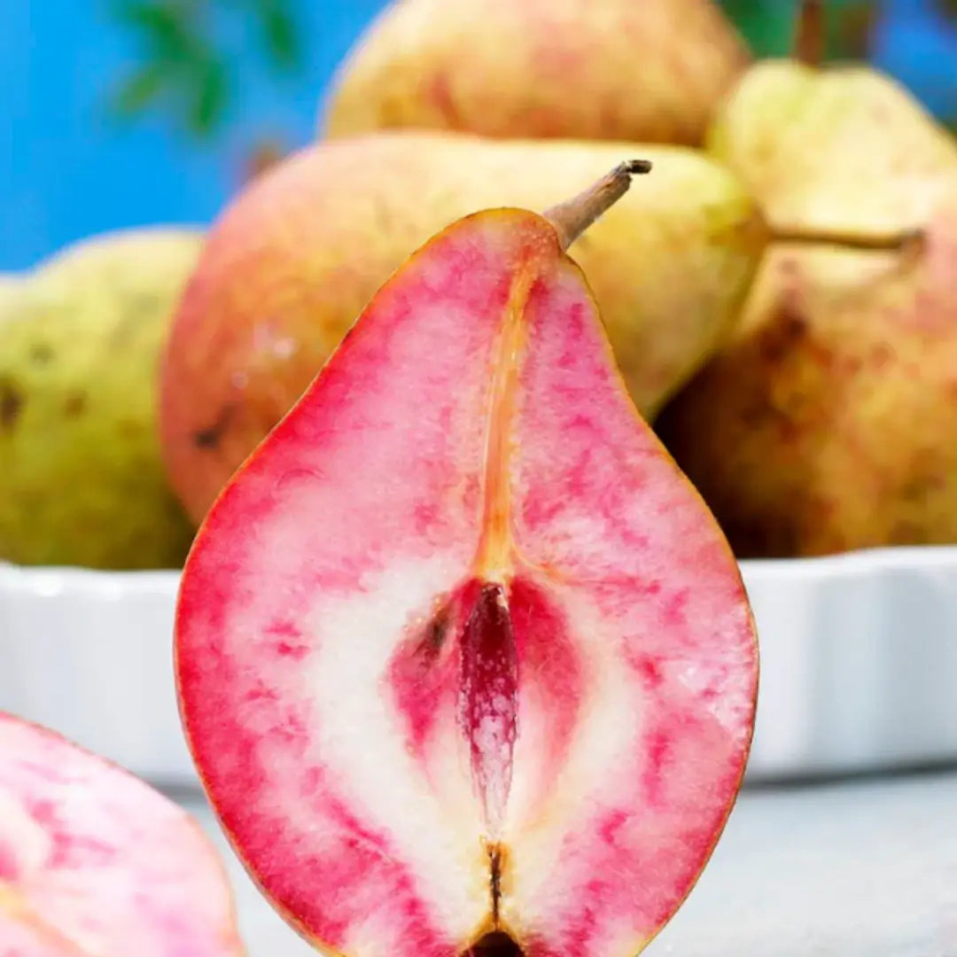 pomi fructiferi par cu miez rosu